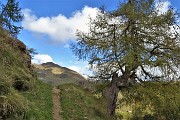 88 Scendendo nel valloncello dell'Agheta